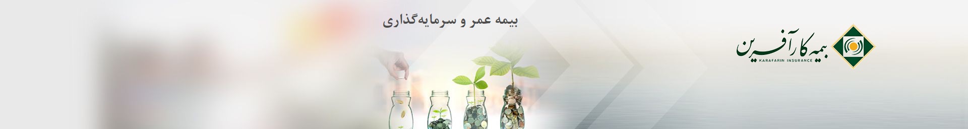 طرح استعلام عمر و سرمایه‌گذاری